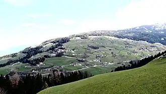 Wattenberg