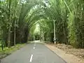Route