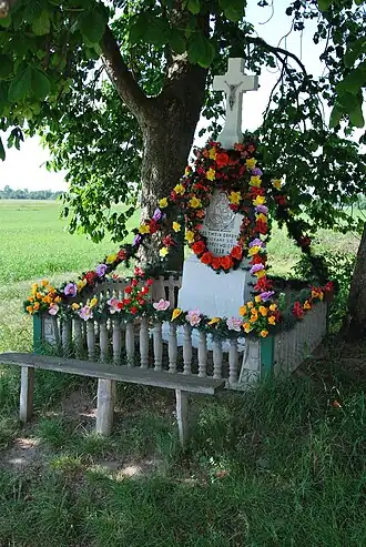 Stoczki (Opoczno)