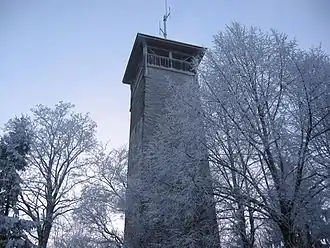 Stammbach