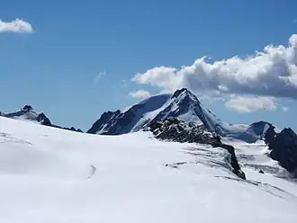 Weißkugel vu du nord.