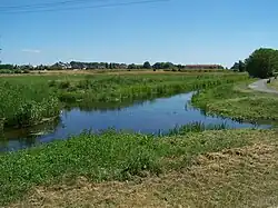 Photographie du croisement des rivières Wełna et Nielba à Wągrowiec.