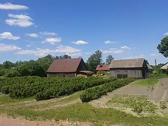 Werchliś