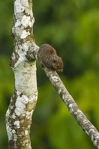 Description de cette image, également commentée ci-après