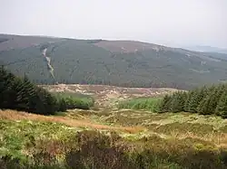 Photographie des pentes boisées d'une haute colline.