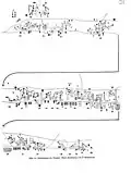 Les habitations à l'ouest de l'île en 1908-1910.