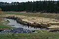 troncs utilisés pour stabiliser une berge dans le cadre de la renaturation