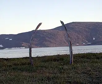 Allée des baleines.