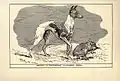 Un whippet.
