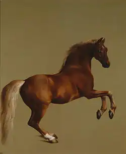 George Stubbs Whistlejacket, 1762.