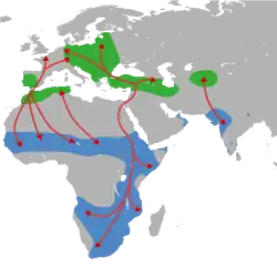 carte géographique