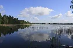 Lac Beloïé&nbsp;(en) (« lac Blanc »), nord de l'oblast de Riazan.