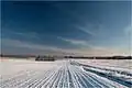 Paysage estonien.