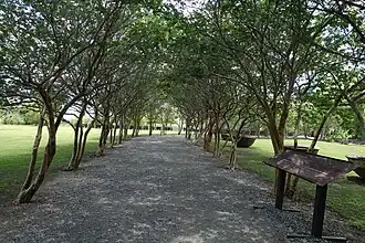 Allée arborée.