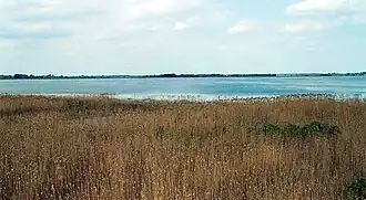 Image illustrative de l’article Lac Łuknajno