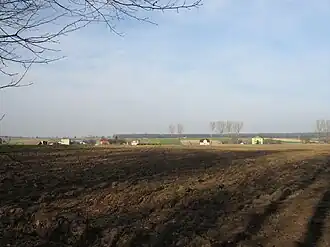 Osina (Lublin)