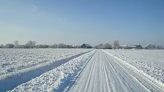 Pniewiski