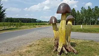 Krzywczyce