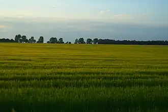 Krzykowice