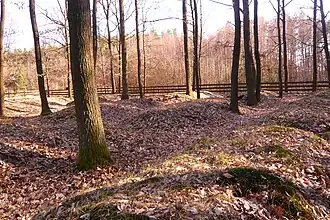 Wierzchowiska Dolne