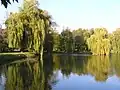 Parc