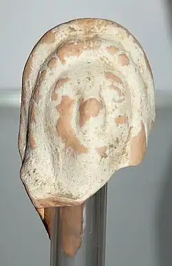 Figue votive.