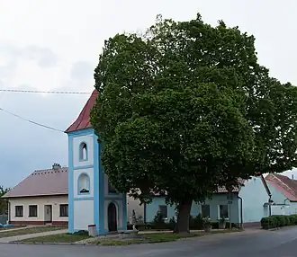 Božice