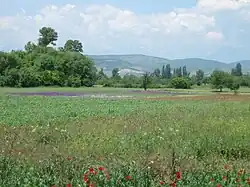 Le bassin de Skopje.
