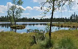 Image illustrative de l’article Lac Wild