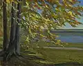Le lac de Starnberg, collection Carmen Thyssen-Bornemisza (1911)