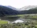 Le lac Williams.
