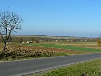 Wincentówek (Lublin)