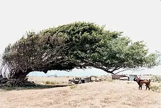 Photo prise à Ka Lae, Hawaii, USA