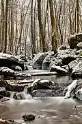 L'hiver dans la Leukbachtal.