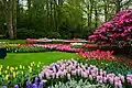 Vue du Keukenhof en 2010.