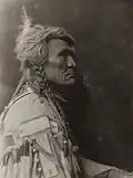 Wolf - Crow