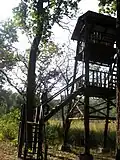 Machaan
