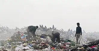 Image illustrative de l’article Décharge de Ghazipur