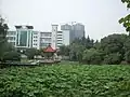 Le campus de Wuchang.