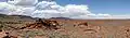 Panorama des ruines de Wupatki.