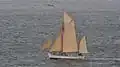 Wyvern 1897