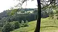 Ferme vosgienne des hauteurs du col de Xiard.