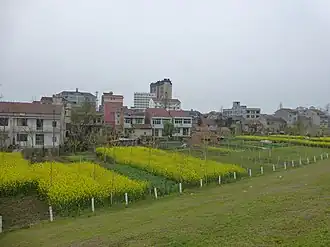Honghu