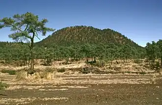 Vue du Xitle