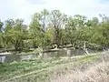La Toundja dans un parc à Yambol