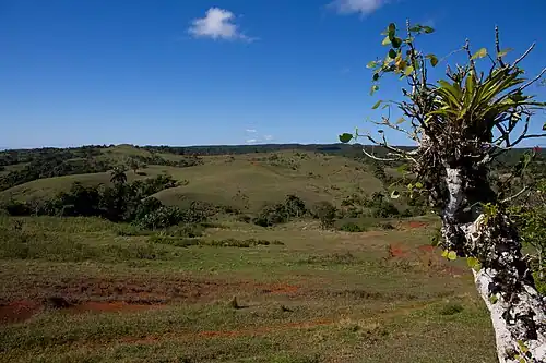 Alto de la Clarita