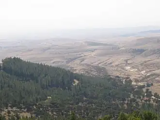Image illustrative de l’article Forêt de Yatir