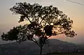 Coucher de soleil sur la ville aux sept collines.