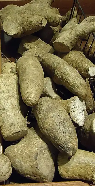 Description de l'image Yellow yam at Asian supermarket in New Jersey.jpg.