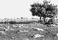 Vue d'ensemble en 1948